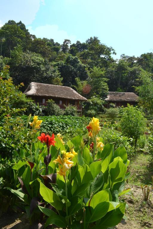 Panhou Retreat Ξενοδοχείο Ha Giang Εξωτερικό φωτογραφία
