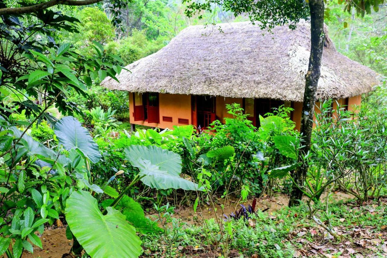 Panhou Retreat Ξενοδοχείο Ha Giang Εξωτερικό φωτογραφία